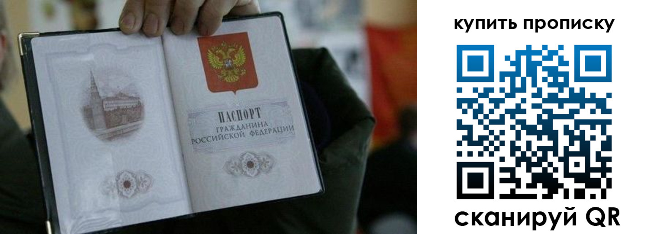 временная регистрация поиск в Зеленогорске